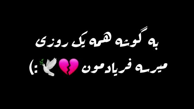 @zahra