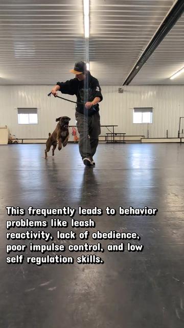 @Kavik.K9