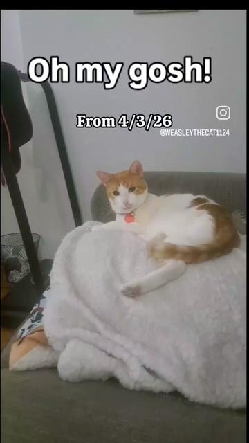 @Candice & Weasley