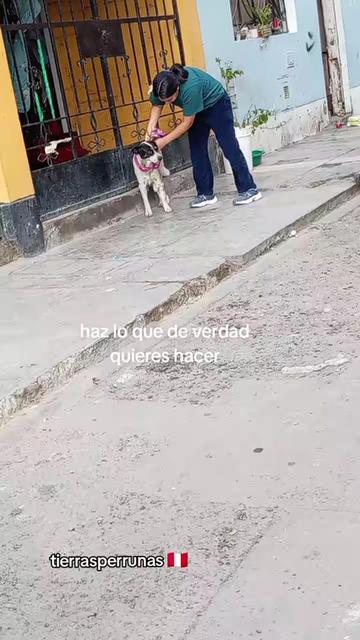 @Asociación T.Perrunas🐕🐈🇵🇪
