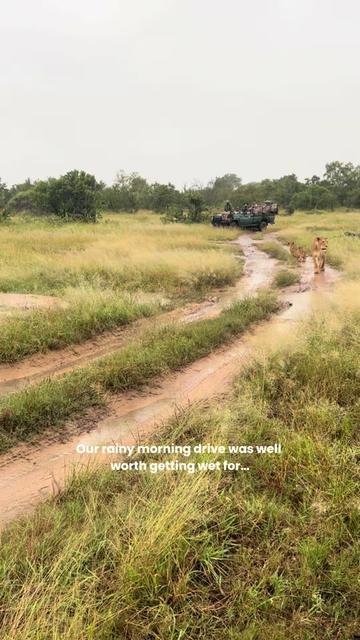 @Thornybush