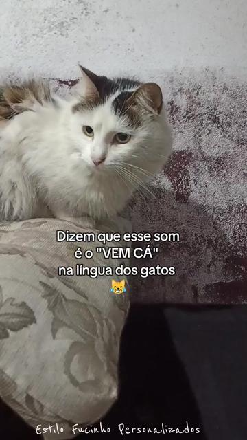 @Estilo Fucinho😻Personalizados
