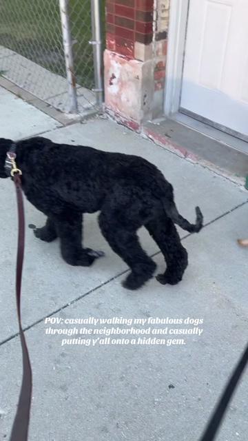 @packwalkdiaries