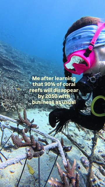 @The Dive Compass