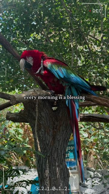 @Vicky blessings 2026