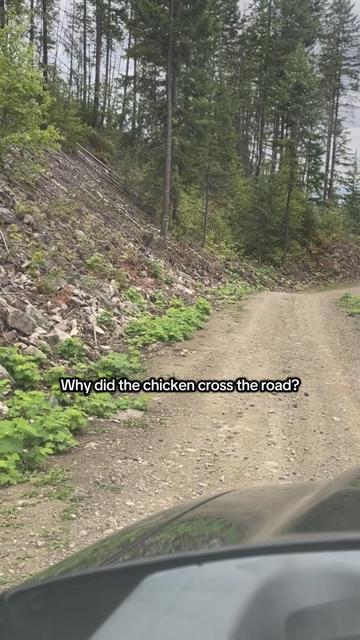 @Jack Ekholm