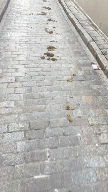 @101tv.es Sevilla
