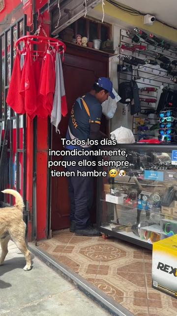 @Cabezotas 🐶