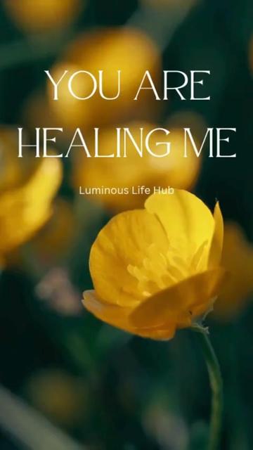 @Luminous Life Hub