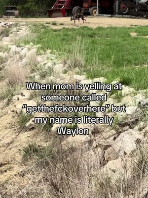 @Waylon