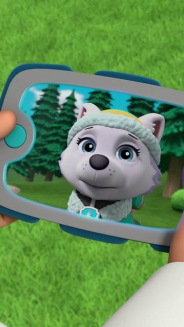 @pawpatrol