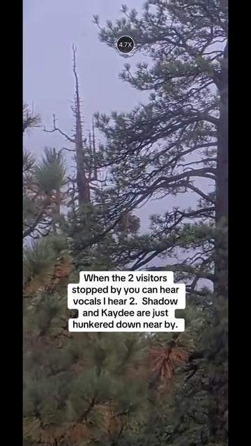 @Holly&rsquo;s Dad