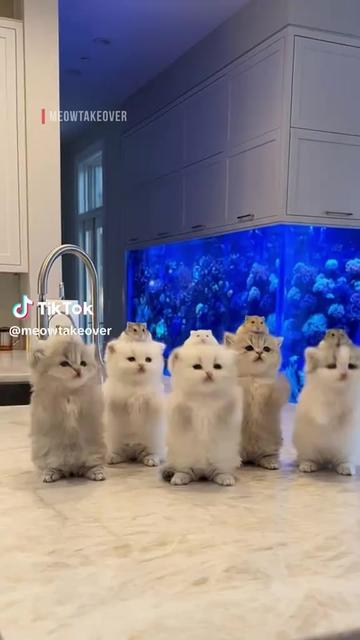 @funvidoes67