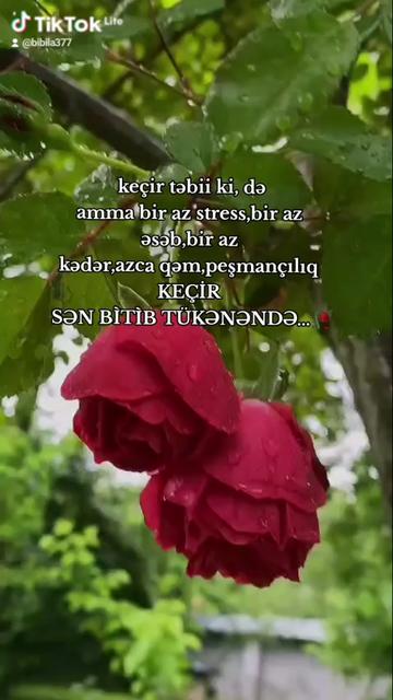 @vardis_bibila♡