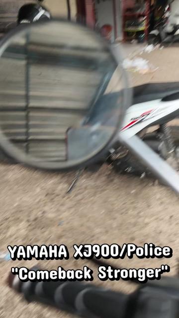 @Dr. MAO