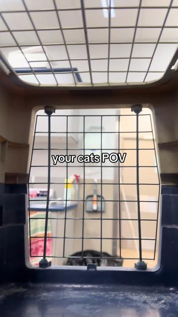 @James Street Vet