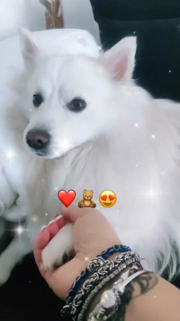 @tina_mehmetaj0