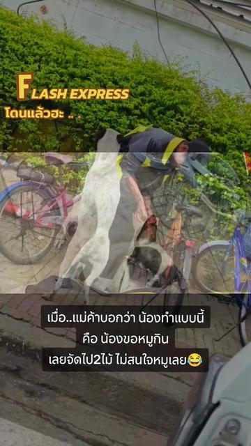 @จาราเจ็มส์⚡เอ็กซ์เพลส