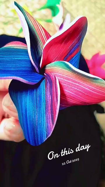 @🌺LEI🌺
