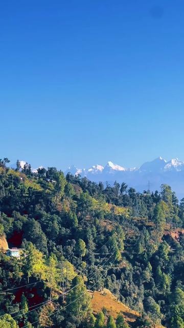 @Thakuri_____ Nabin 