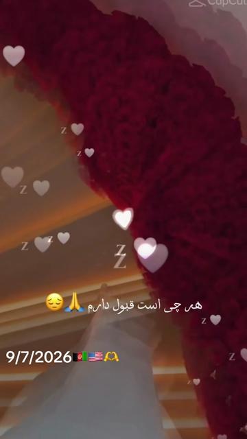 @Sofia Sahar