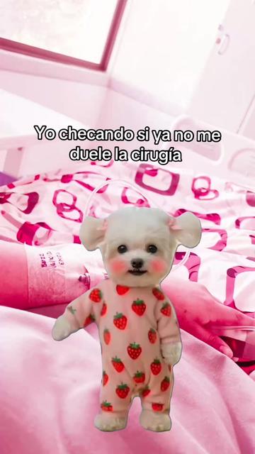 @🎀Guadalupe Official 🎀