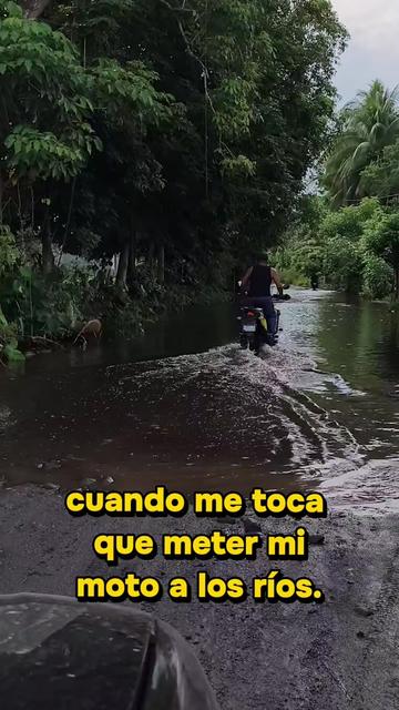 @eltigrejoseph🐯