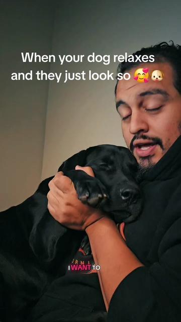 @Ezzz