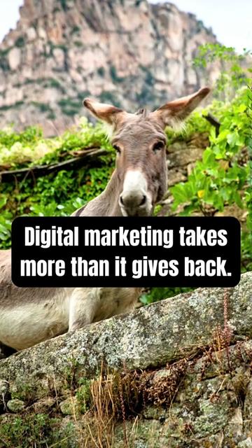 @Digital Marketing Pros ✨