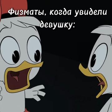 @Foxys-world