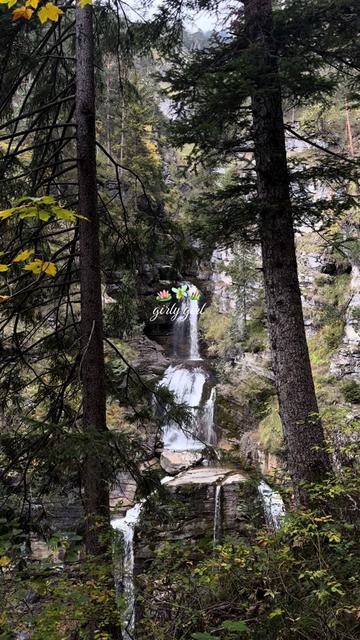 @Aurora