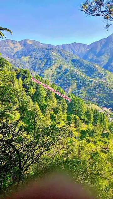 @it's kashmiri