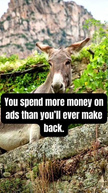 @Digital Marketing Pros ✨