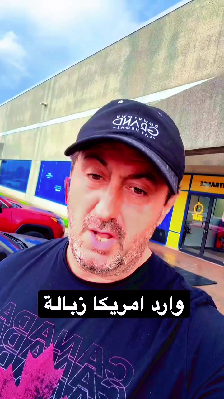 @Canadastallion 🇨🇦 الأصيل