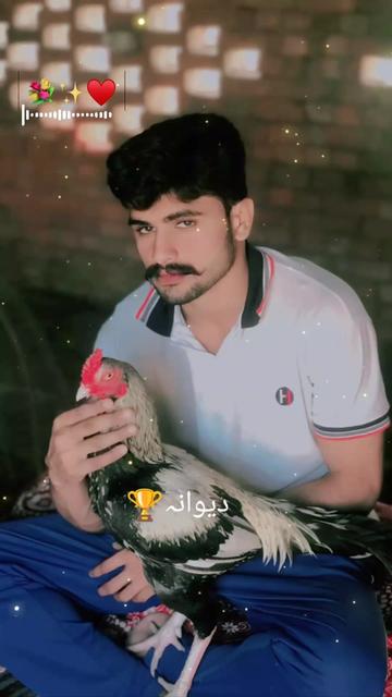 @Ali Nahra