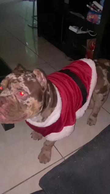 @Ares Santacruz