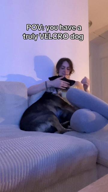 @momoandtea