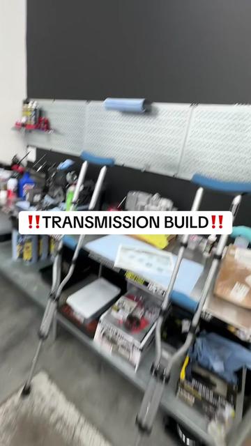 @mXrevival
