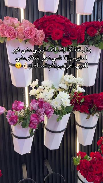 @๐ฉท
