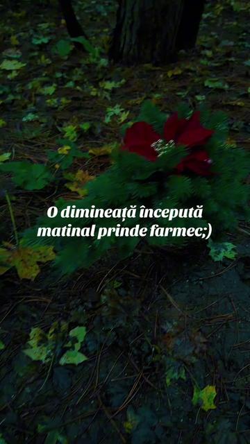@Nolina