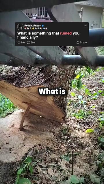 @reddit_report