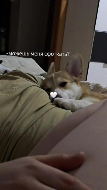@Yulia @