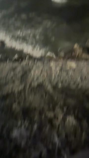 @antzchi