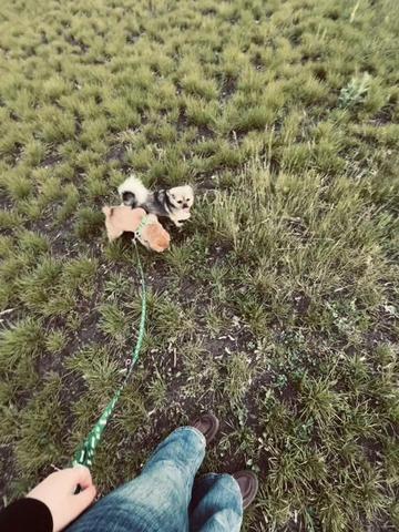 @цуката