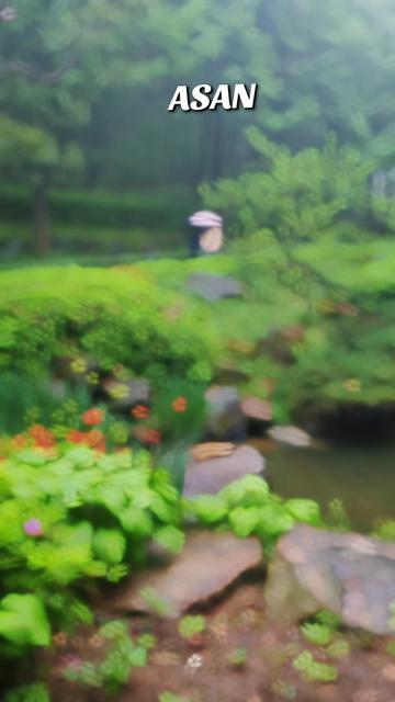 @미샤