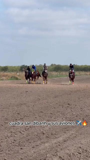 @carriles altos de jalisco🐎