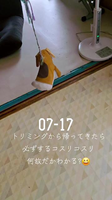 @hiro110
