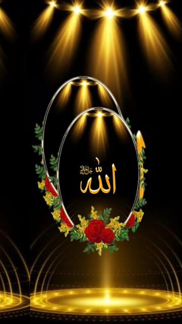 @amanataliali7292
