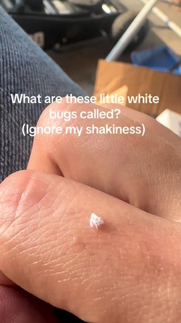 @Sarah 🌸🩷