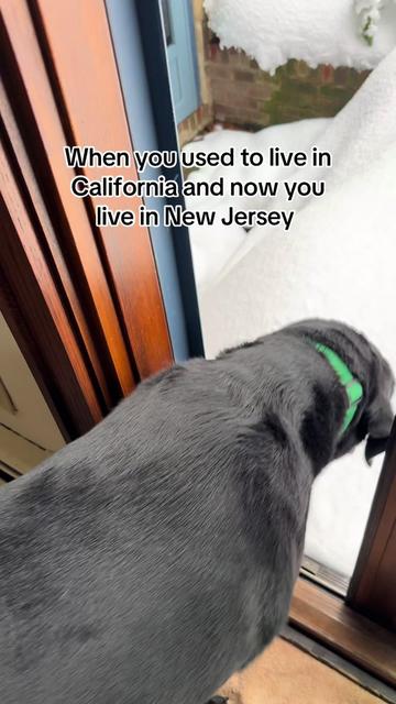 @Beautiful.blizz